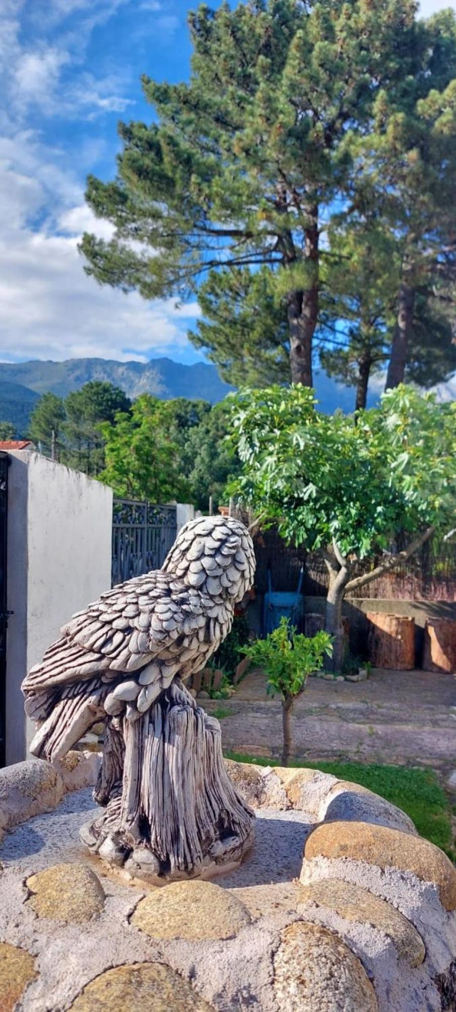 Villa La Lechuza Blanca Casavieja Esterno foto